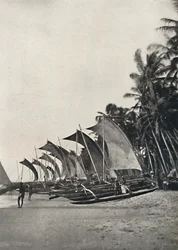 Barche da pesca ceylonesi con bilanciere, 1926