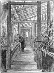 Charles Darwin 1809-1882, naturalista inglese, nella sua serra