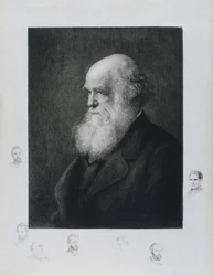 Charles Darwin, naturalista inglese, c 1860s