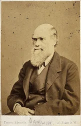 Charles Darwin, naturalista inglese, c. 1870