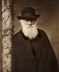 Charles Darwin nella sua casa a Down House, Kent, c1880
