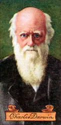 Charles Darwin, da una serie di carte da sigarette, 1935