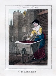 Ciliegie, Palazzo di St James, Londra
