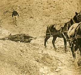 Pulizia del campo di battaglia