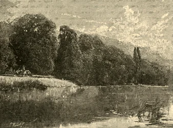 Boschi di Cliefden, 1898