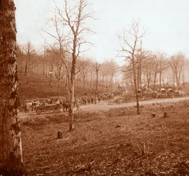 Colonna di truppe, Genicourt, Francia settentrionale, c1914-c1918