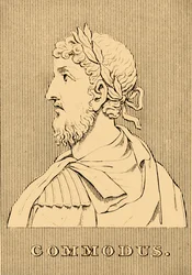 Commodo
