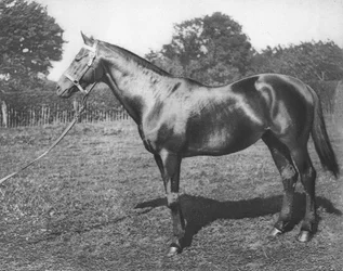 Comune, XIX secolo, 1911