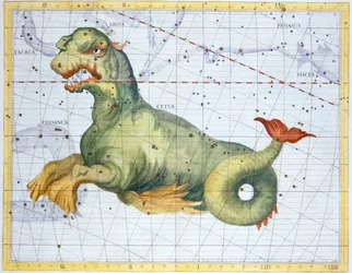 Costellazione di Cetus la Balena, 1729