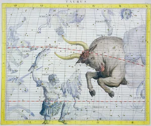 Costellazione del Toro, 1729