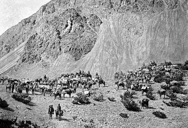 Convoglio di mulattieri ai piedi della Cordigliera, Sud America, 1895