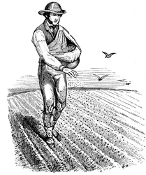 Rotazione delle colture: semina a spaglio, 1855