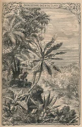 Crusoe scopre le capre sull
