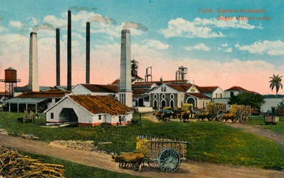Cuba: Ingenio moliendo. Zuccherificio in funzione, c1900