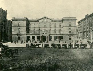 Dogana, Sydney, 1901