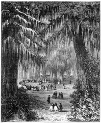 Boschetto di cipressi a Chapultepec, Città del Messico, 1877