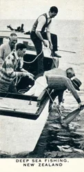 Pesca in alto mare, Nuova Zelanda, 1927-1937