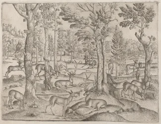 Cervi nella foresta, c. 1520