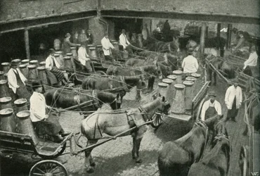 Furgoni di consegna in partenza dal deposito centrale di Messrs, Freeth e Pococks a Vauxhall, 1902