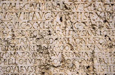 (dettaglio)