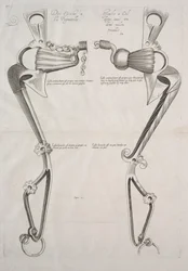 Diagramma per il morso del cavallo, 1700s