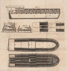 Diagramma di una nave schiavista, 1821