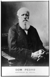 Dom Pedro, Imperatore del Brasile, fine XIX secolo