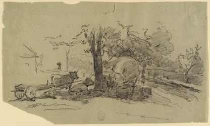 Disegno (USA)