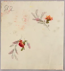 Disegno, da Saint Germain - Volumi 1 e 2