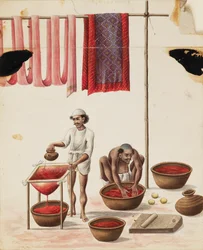 Tintori, 1840-1850