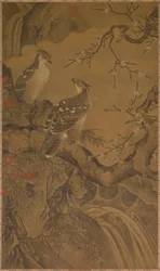Aquilotti, 1368-1644
