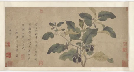 Melanzana, dinastia Yuan o Ming, XIV secolo