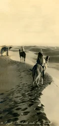 Egitto - Veduta nel deserto, c1918-c1939