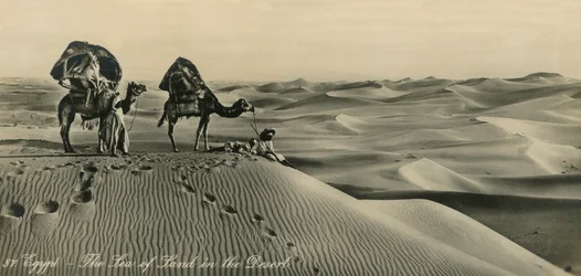Egitto - Il mare di terra nel deserto, c1918-c1939
