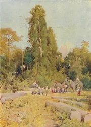 Elefanti che impilano teak