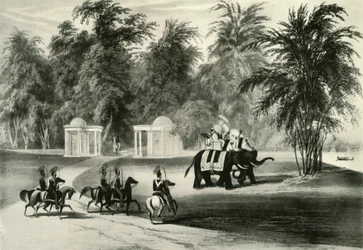 Elefanti e guardia del corpo nel Parco di Barrackpore, 1820, 1925