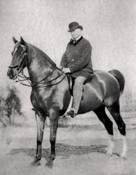 Emile de Girardin, giornalista, pubblicista e politico francese, 1866