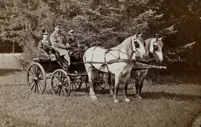 Imperatore Alessandro III e Imperatrice Maria Fyodorovna su una carrozza