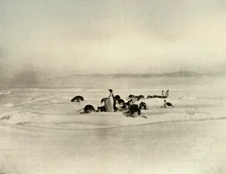 Imperatori sul toboggan, c1908, 1909