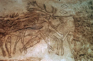 Osso inciso da Lortet, Alti Pirenei