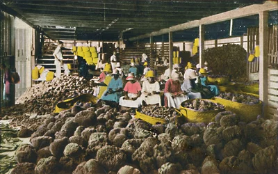 Esfakis - Casa di imballaggio delle spugne - Nassau, Bahamas, c1930s