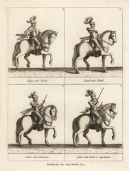 Esercizio del cavallo