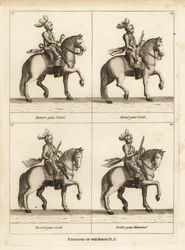Esercizio del cavallo