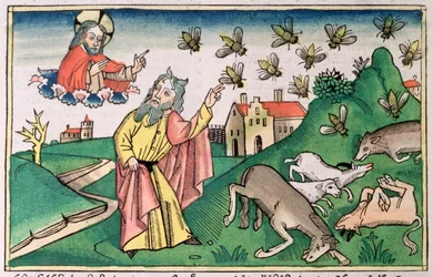Esodo 8:20-32: Mosè e lo sciame di mosche, una delle Sette Piaghe d