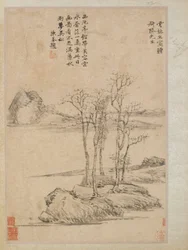 Cinque alberi su un promontorio roccioso