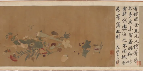 Fiori, frutta, conchiglie e insetti