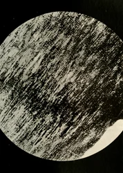 Legno fossile in arenaria, da una morena a latitudine 85° Sud, c1908