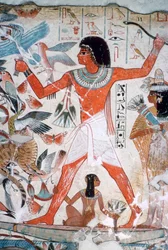 Caccia agli uccelli nelle paludi: pittura murale dalla tomba di Nebamun, Tebe, Egitto, ca. 1350 a.C.