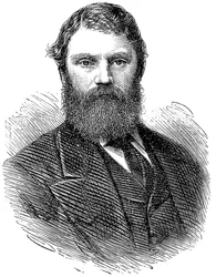 Francis Edmund Anstie 1833-1874, medico inglese, 1874