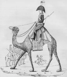 Reggimento di dromedari francesi. Catturato con un convoglio nel deserto libico, maggio 1801, 1884